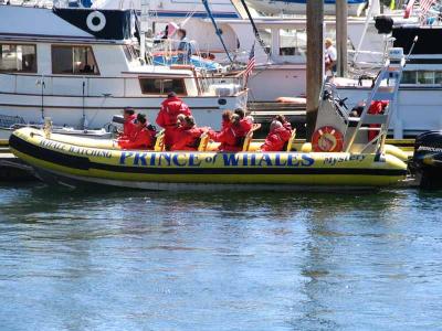 Whale Chase boat