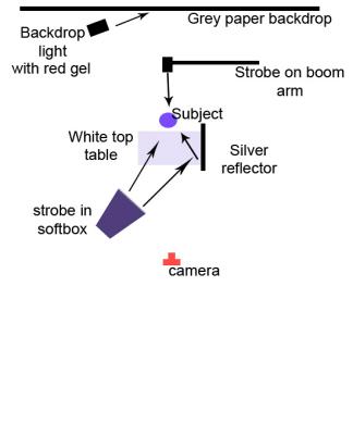 light-diagram.jpg