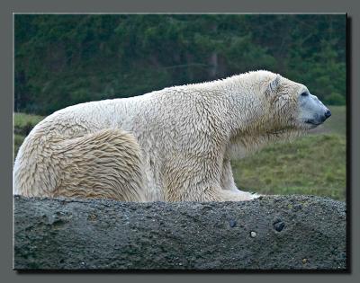 CRW_3279.jpg