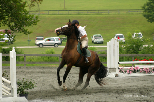 IMG_3786.JPG