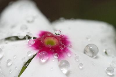 CRW_7360w.jpg