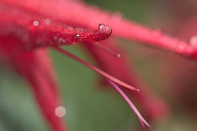 CRW_7363w.jpg