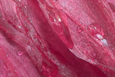 CRW_7369w.jpg