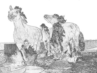 horses pen and ink.jpg