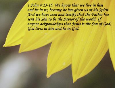1John 4 13_15.