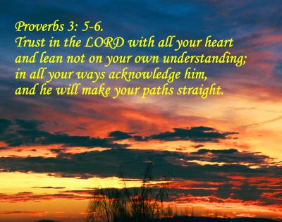 u38/jhiker/medium/24866263.Proverbs35_6.jpg