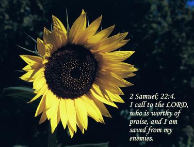2 Samual 22 4
