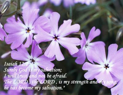 Isaiah 12 2
