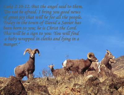 u38/jhiker/medium/24867293.Luke210_12.jpg