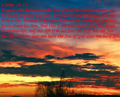 1 John 10_12