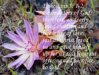 Ephesians 5 1_2