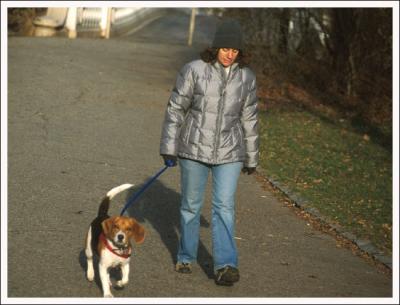 Dog and girl- central park