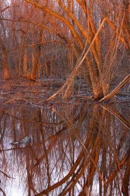 CRW_6101.jpg