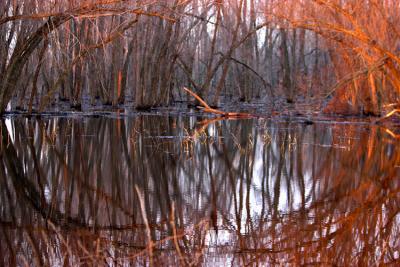 CRW_6102.jpg