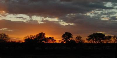 backlit-t1.jpg