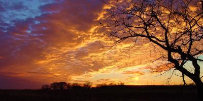 hawks sunset.jpg