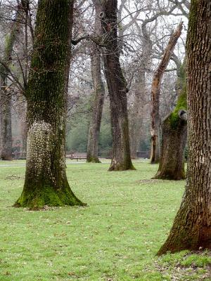 Bidwell Park Chico CA