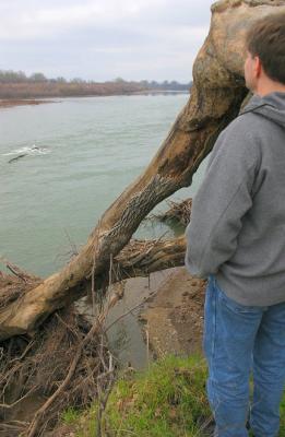 Larry looking at the Sacramento River