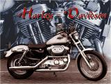 Harley Davidson Sportster 1200