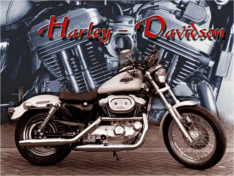Harley Davidson Sportster 1200