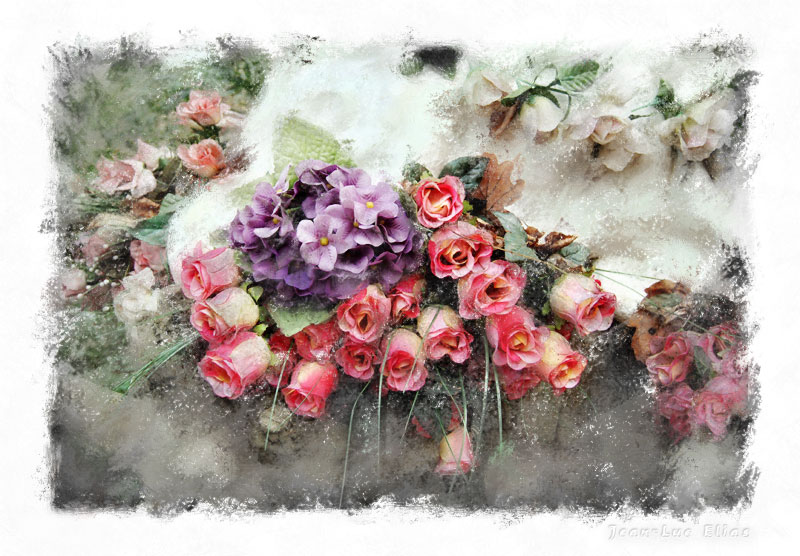Small roses