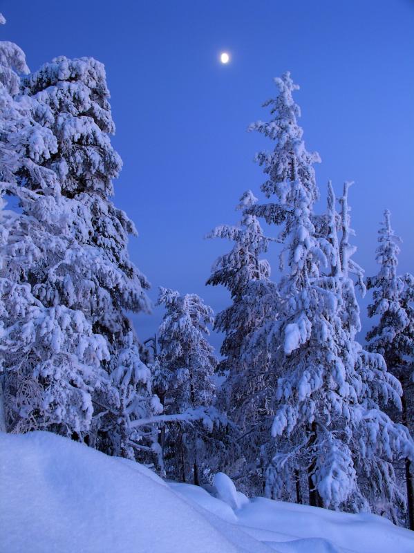 Maisema_P1013689.jpg