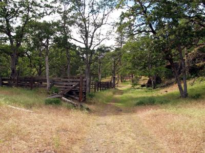 Catherine Creek
