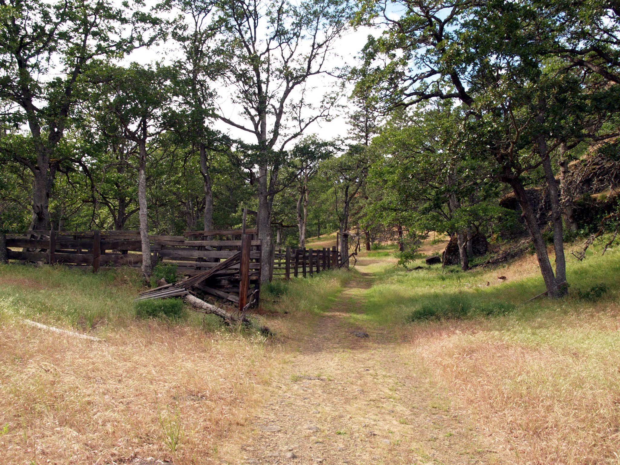 Catherine Creek