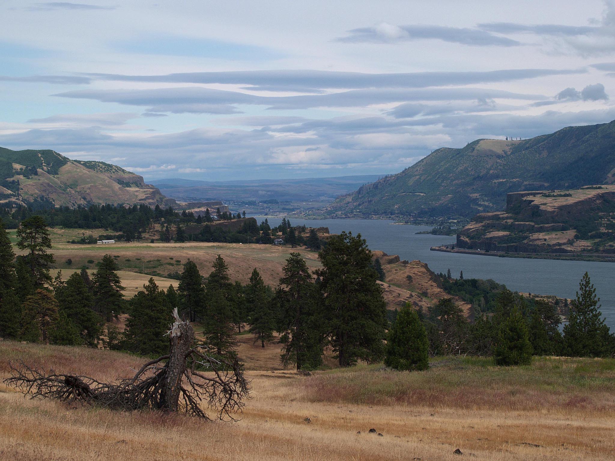 Columbia River from Catherine Creek
