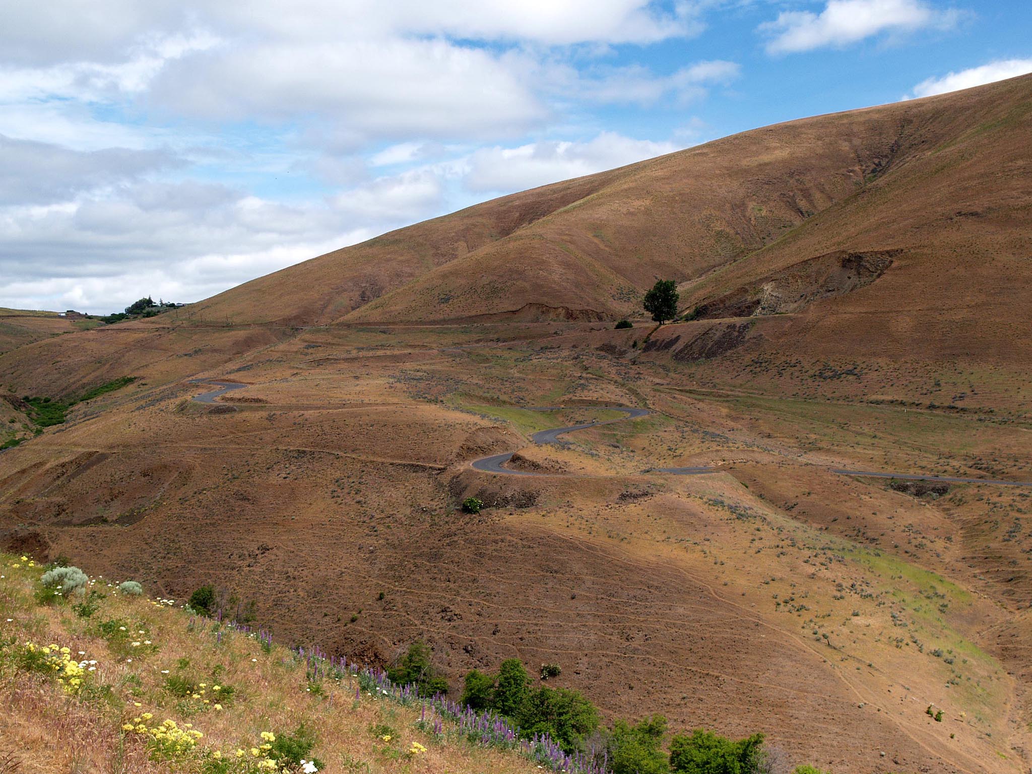 Between Maryhill and Goldendale