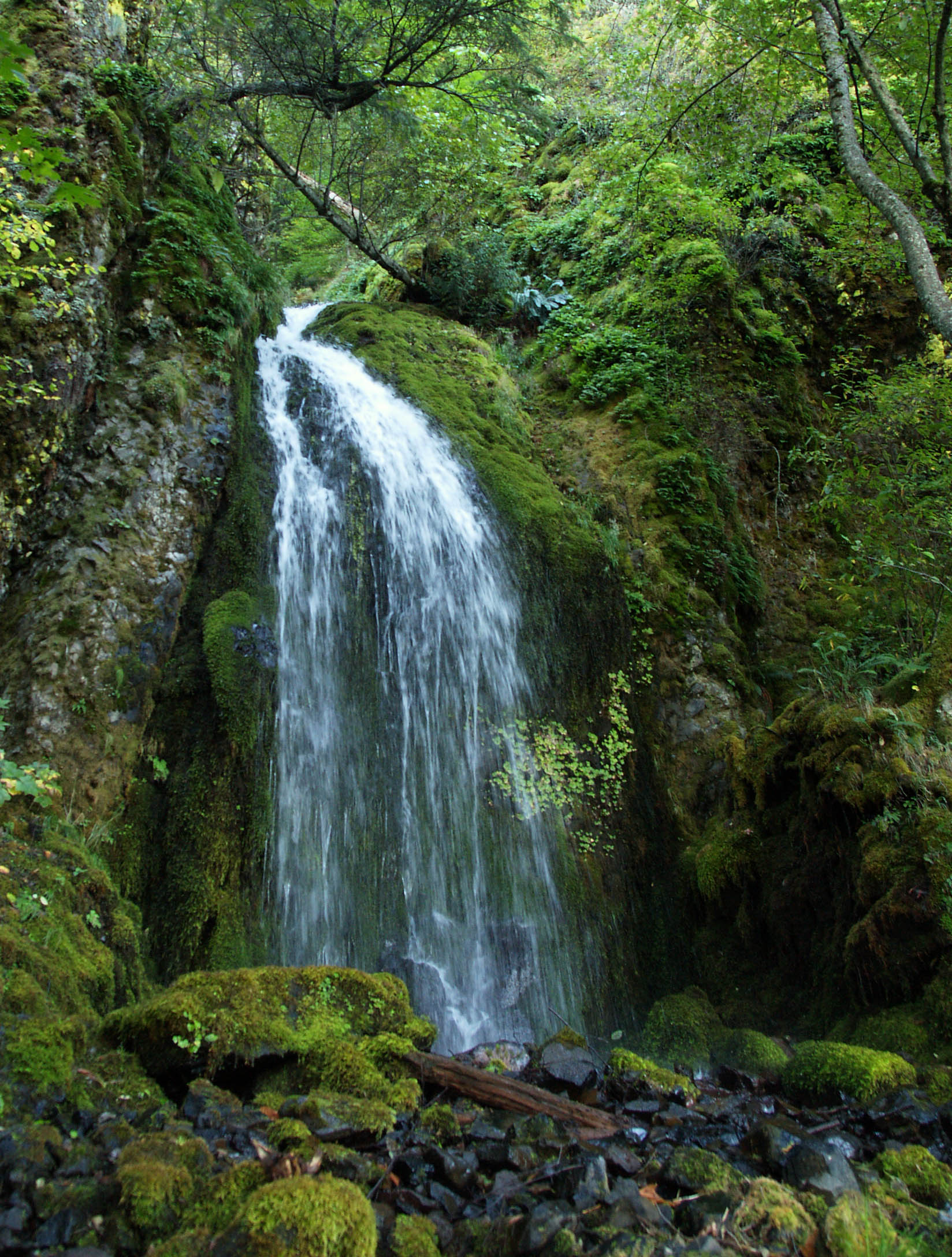 Cascade
