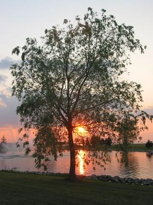 Maumee Bay Sunset 3