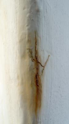 u38/joebonellidius/medium/32050107.Injuryinthewhite.jpg