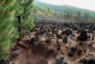 San Juan lava flow, La Palma.  (5)