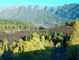 Parque Natural de Cumbre Vieja.  (11)