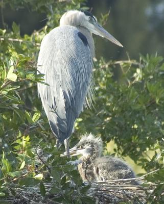 DSC_6231.jpg