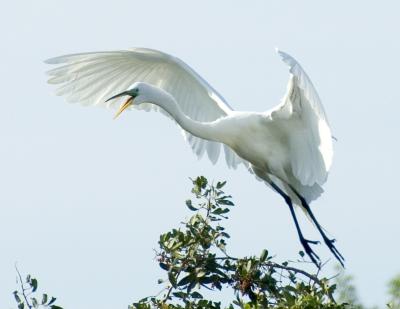 DSC_6248.jpg
