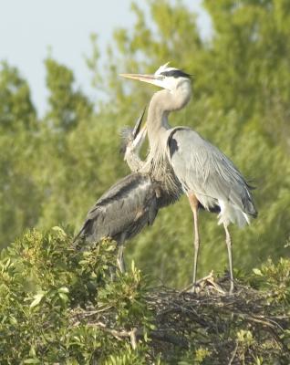 DSC_6379.jpg