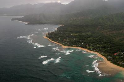 Misty Shoreline