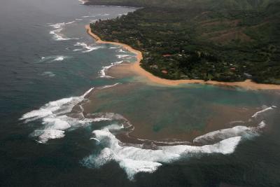 Reef