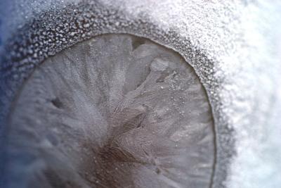 IMG_5574------frozen fingerprint on corona bottle macro.jpg