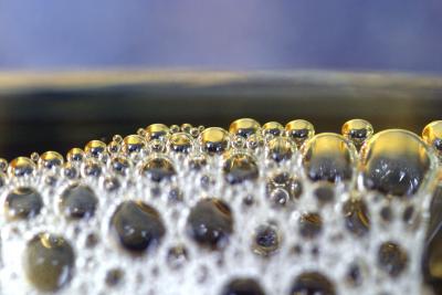 IMG_5617--more bubbles in corona neck macro.jpg