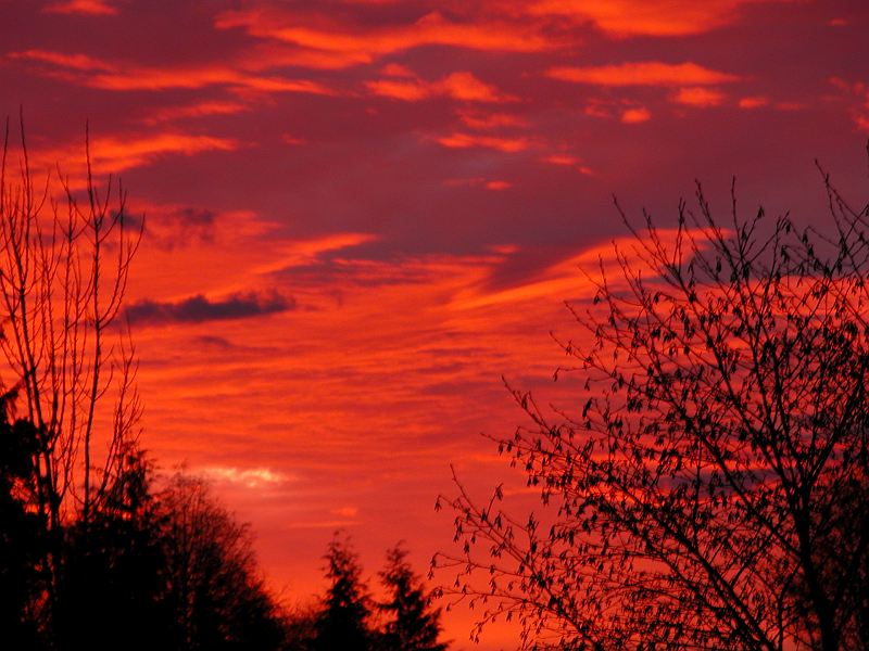 January sunrise