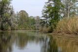 Bayou Labranche