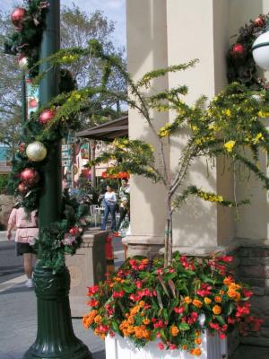 Floral and Holiday Decor