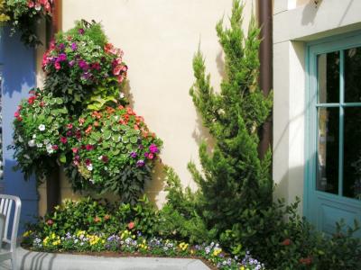 Flowers near the Window