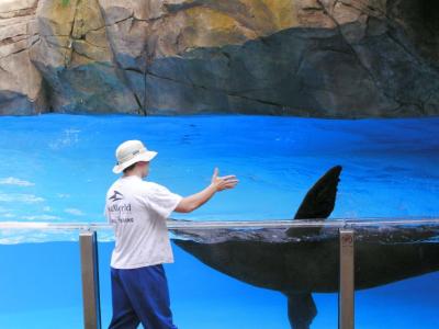 Clyde and Seamore Show - Feeding the Sea Lion