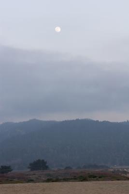 IMG_2190_w.jpg