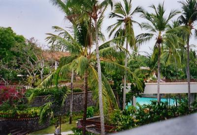 Bali roomview1.JPG