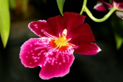 IMG_3808ps'.jpg